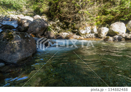 Rushing mountain stream with mossy rocks in High Tatras, Slovakia 134882488