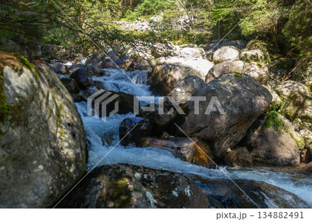 Rushing mountain stream with mossy rocks in High Tatras, Slovakia 134882491