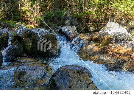 Rushing mountain stream with mossy rocks in High Tatras, Slovakia 134882493