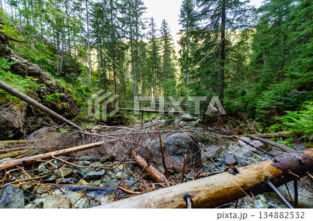 Wooden bridge over a mountain stream in High Tatras, Slovakia Wooden bridge over a mountain stream in High Tatras, Slovakia 134882532