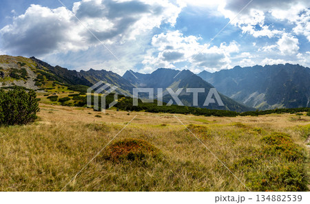 High altitude meadows and mountain peaks in High Tatras, Slovakia High altitude meadows and mountain peaks in High Tatras, Slovakia 134882539
