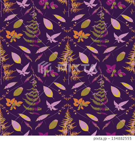 Seamless pattern with dry herbs and leaves on purple background. Wild field and forest plants wallpaper 134882555
