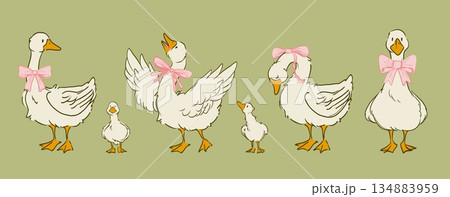 Cute cottagecore goose characters with pink bows Cute cottagecore goose characters with pink bows 134883959