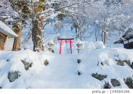 【伝行山】雪景色と鳥居【北安曇郡白馬村】 134884166