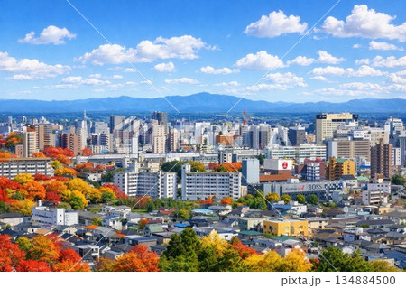 宇都宮タワーより山形新幹線とJR宇都宮駅方面の街並みを望む 134884500