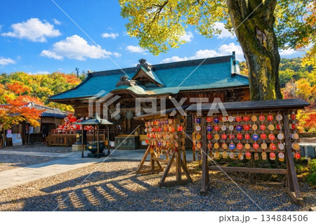 少林山達磨寺　本堂　絵馬　紅葉 134884506