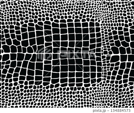 Seamless pattern of alligator skin on a white background Seamless pattern of alligator skin on a white background 134884573