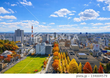 栃木県庁展望ロビーより県庁正門前　中央通り方面の街並みを望む 134884579