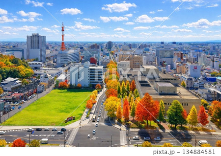 栃木県庁展望ロビーより県庁正門前　中央通り方面の街並みを望む 134884581