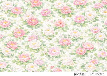 背景素材　花　シャクヤク　芍薬 134885913