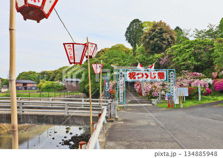 ツツジの名所福岡県豊前市の宝福寺山つつじ公園 ツツジの名所福岡県豊前市の宝福寺山つつじ公園 134885948