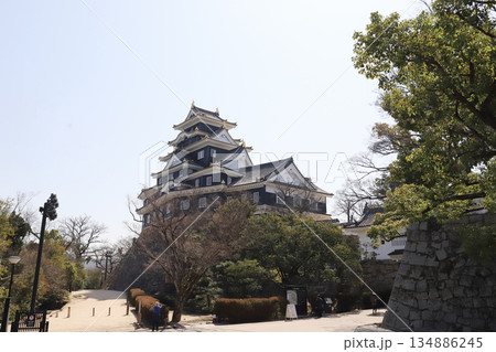岡山城 天守閣（岡山県） 134886245