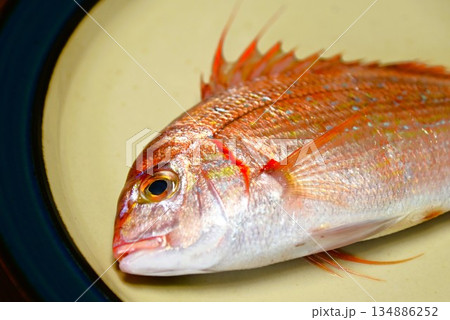 新鮮な魚 血鯛（チダイ・ハナダイ） 134886252