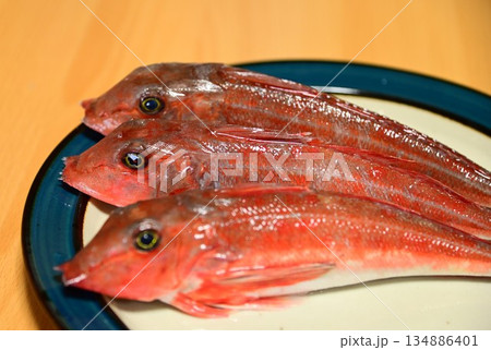 新鮮な魚 金頭（カナガシラ） 134886401