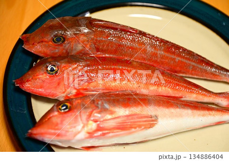 新鮮な魚 金頭（カナガシラ） 134886404