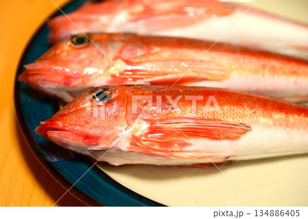 新鮮な魚 金頭（カナガシラ） 134886405