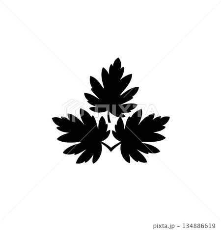 Maha Shivaratri 134886619