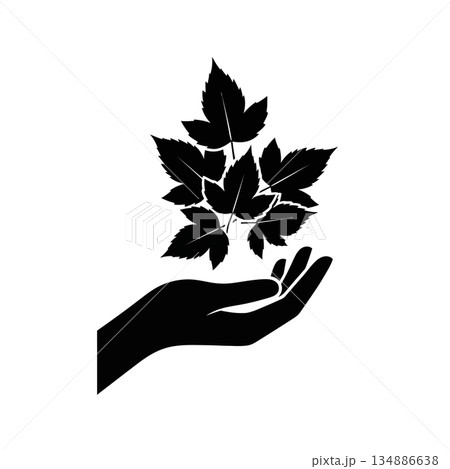 Maha Shivaratri 134886638