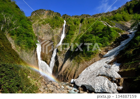 新緑の称名滝と虹 134887159