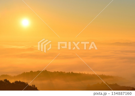 三王山展望台（タワー）からの常陸台地に広がる雲海 134887160