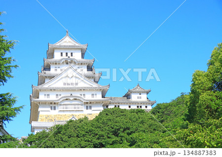 兵庫県姫路市、国宝姫路城の風景 134887383