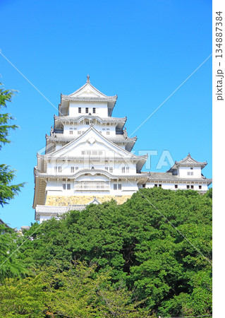 兵庫県姫路市、国宝姫路城の風景 134887384