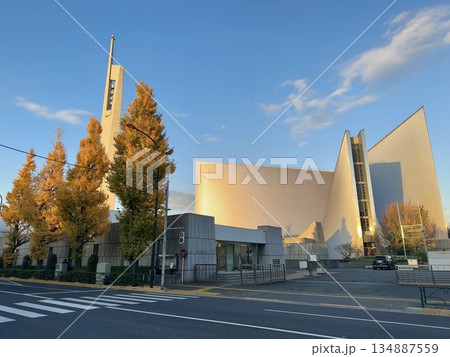 東京カテドラル聖マリア大聖堂 134887559