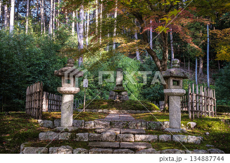 京都府左京区圓光寺東照大権現の墓 134887744