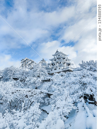 雪の郡上八幡城 134888593