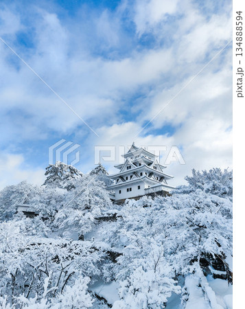 雪の郡上八幡城 雪の郡上八幡城 134888594