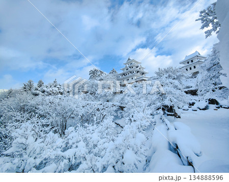 雪の郡上八幡城 134888596