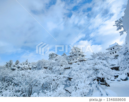 雪の郡上八幡城 雪の郡上八幡城 134888608