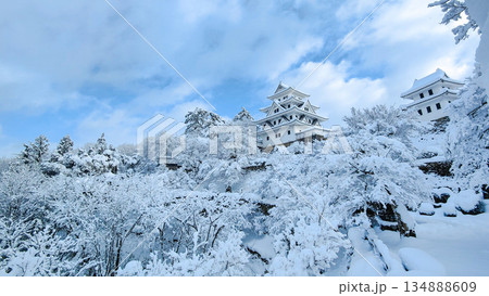 雪の郡上八幡城 雪の郡上八幡城 134888609