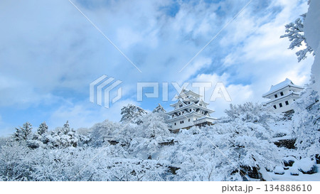 雪の郡上八幡城 雪の郡上八幡城 134888610
