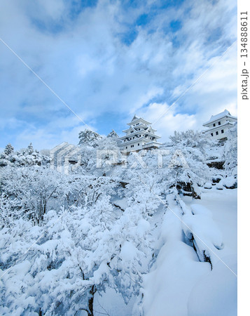 雪の郡上八幡城 雪の郡上八幡城 134888611