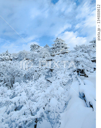 雪の郡上八幡城 134888612