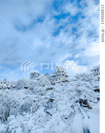 雪の郡上八幡城 雪の郡上八幡城 134888613