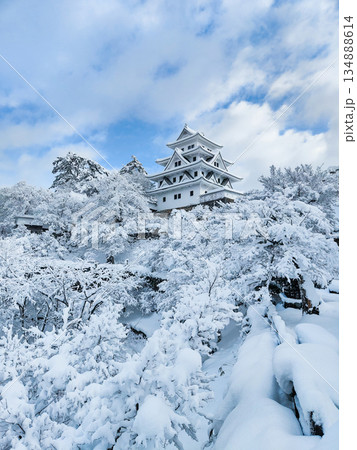 雪の郡上八幡城 134888614