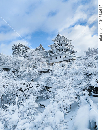 雪の郡上八幡城 雪の郡上八幡城 134888615