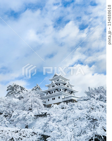 雪の郡上八幡城 雪の郡上八幡城 134888618
