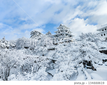 雪の郡上八幡城 雪の郡上八幡城 134888619