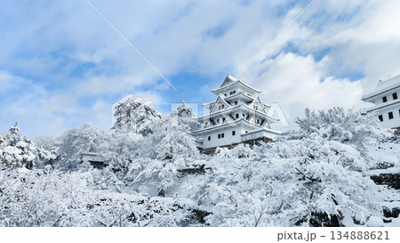 雪の郡上八幡城 雪の郡上八幡城 134888621