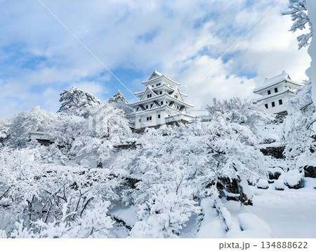 雪の郡上八幡城 雪の郡上八幡城 134888622