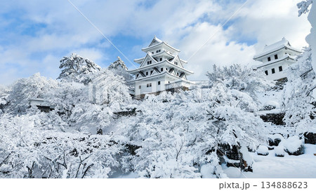 雪の郡上八幡城 雪の郡上八幡城 134888623