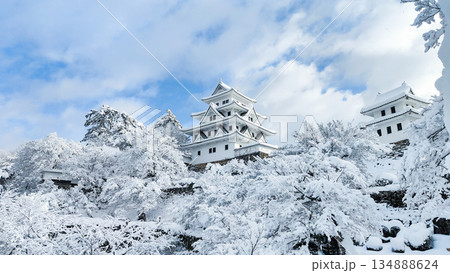 雪の郡上八幡城 雪の郡上八幡城 134888624