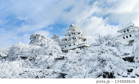 雪の郡上八幡城 雪の郡上八幡城 134888626