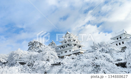 雪の郡上八幡城 134888627