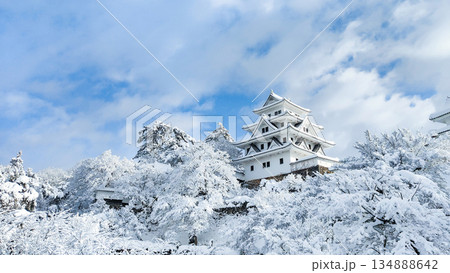 雪の郡上八幡城 134888642