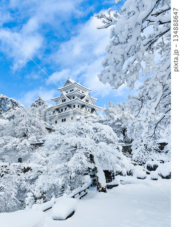 雪の郡上八幡城 134888647