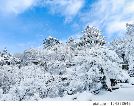 雪の郡上八幡城 134888648